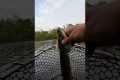 Fishing the WORST lake in Michigan