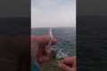 Fishing Hacks and Tricks bait Shore