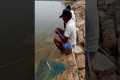 Catching Tasty Fishes in Lake