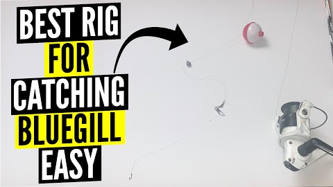 Best rig for catching bluegill - EASY
