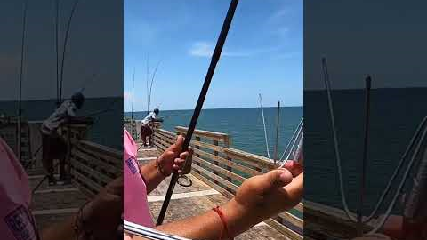 Catching a Pier GIANT and Eating it 🎣