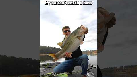 Can’t catch a bass? Throw these 3 baits! #fishingtips #fishing #bassfishing