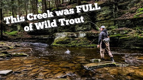 DISCOVERED an OVERLOOKED CREEK FULL of WILD TROUT - Fly Fishing Central NY