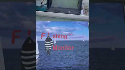 Temu fishing camera review first use #temu #review #fishinggear #camera #canada #action #shorts