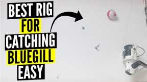 Best rig for catching bluegill - EASY