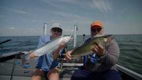 Lake Erie Walleye Fishing – Full Limit Out of Port Burwell + Steelhead!