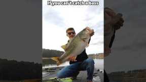 Can’t catch a bass? Throw these 3 baits! #fishingtips #fishing #bassfishing
