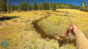 Fly Fishing the BEST Creek EVER for Apache Trout!! (Arizona's Apache Trout Pt 2)