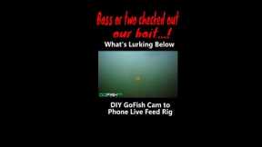 See What's Lurking Below | DIY GoFish Cam to Phone Live Feed Rig #shorts