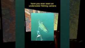 The CanFish Fishing Camera 💥🤳🐟