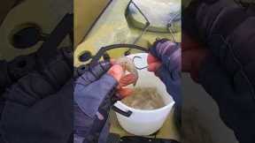 Common Shrimp Rigging MISTAKES (And How To Fix Them!)