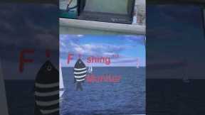 Temu fishing camera review first use #temu #review #fishinggear #camera #canada #action #shorts