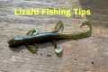 How To Rig And Fish A Soft Plastic