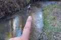 Trout fishing with worms, tips tricks 