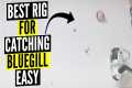 Best rig for catching bluegill - EASY