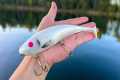 Fishing MASSIVE Lures for LAKE