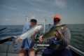Lake Erie Walleye Fishing – Full