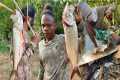 FISH FRENZY CATCH CLEAN COOK |