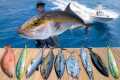 CAUGHT Every Deep Sea Fish... Catch
