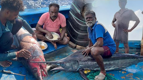 BIGGEST 💢Fish Ever Caught in the Ocean🤩MASSIVE Seafood Feast‼️| S02-day 4 to 6