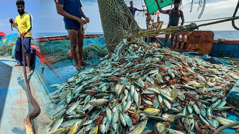 AMAZING! 🤩 We Caught Tons of Mackerel and Trevally Fish in a Single Catch! 😃WOW!