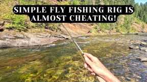 Trout have no chance - This fly fishing rig makes catching trout TOO EASY!