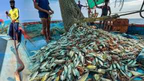 AMAZING! 🤩 We Caught Tons of Mackerel and Trevally Fish in a Single Catch! 😃WOW!