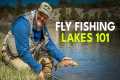 Fly Fishing 101: Lake Fishing Tips