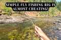 Trout have no chance - This fly