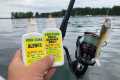 Do Lure Scents Help You Catch More