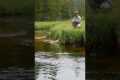 Fly Fishing Problems? Watch this.