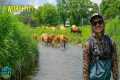 My First Time Fly Fishing the