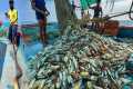 AMAZING! 🤩 We Caught Tons of