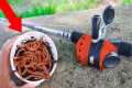 Fishing with Livebait Worms for