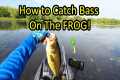 Learn How to Fish a Frog Lure for