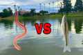 WORMS VS MINNOWS - What Bait Catches