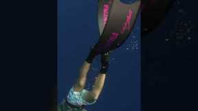 Spearfishing Yellowfin Tuna in Bali