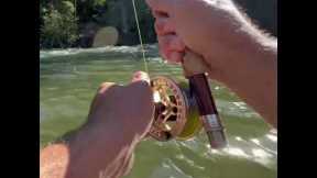 What Every Fisherman DREAMS About!