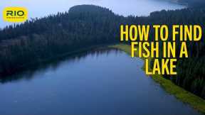 How To Find Fish In A Lake