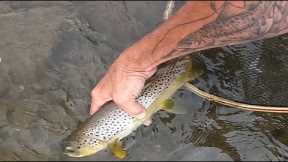 A Summer Day Fly-Fishing with Mr. Dave Rothrock, It ain't over until it's over!!