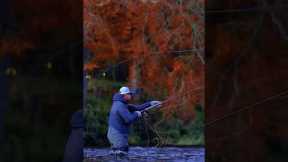 Fly casting is a fishing technique that requires a high level of skill
