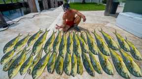 BEST Day of Dolphin fishing! Catch Clean Cook ( Florida Mahi Mahi)
