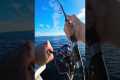 Bluefin Tuna Spin Gear Offshore