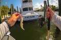 Fishing Florida Saltwater Residential 