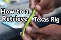 How to Retrieve a Texas Rigged Soft