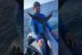 Fishing 600+ Lbs bluefin tuna on