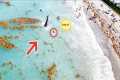 THIS Is Why You DON'T Swim Next To A