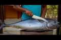 Tuna Cutting Show – Skill &