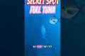This Secret Spot Is Full of Tuna –