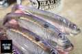 Should You Make Attractive Lures? A